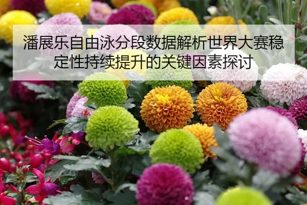 潘展乐自由泳分段数据解析世界大赛稳定性持续提升的关键因素探讨