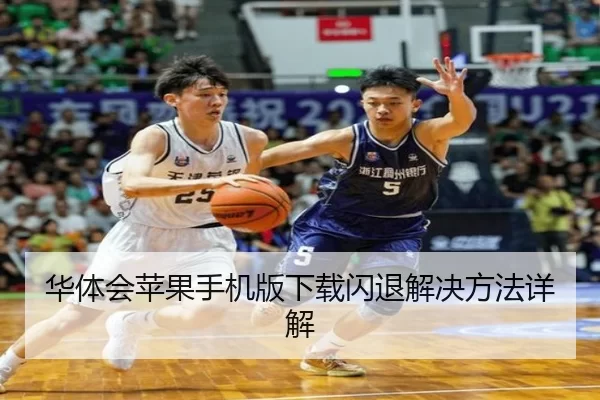 华体会苹果手机版下载闪退解决方法详解