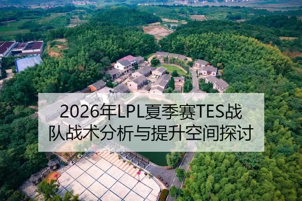 2026年LPL夏季赛TES战队战术分析与提升空间探讨