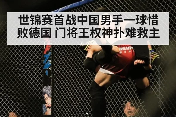 世锦赛首战中国男手一球惜败德国 门将王权神扑难救主