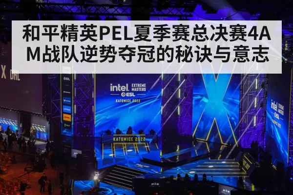 和平精英PEL夏季赛总决赛4AM战队逆势夺冠的秘诀与意志